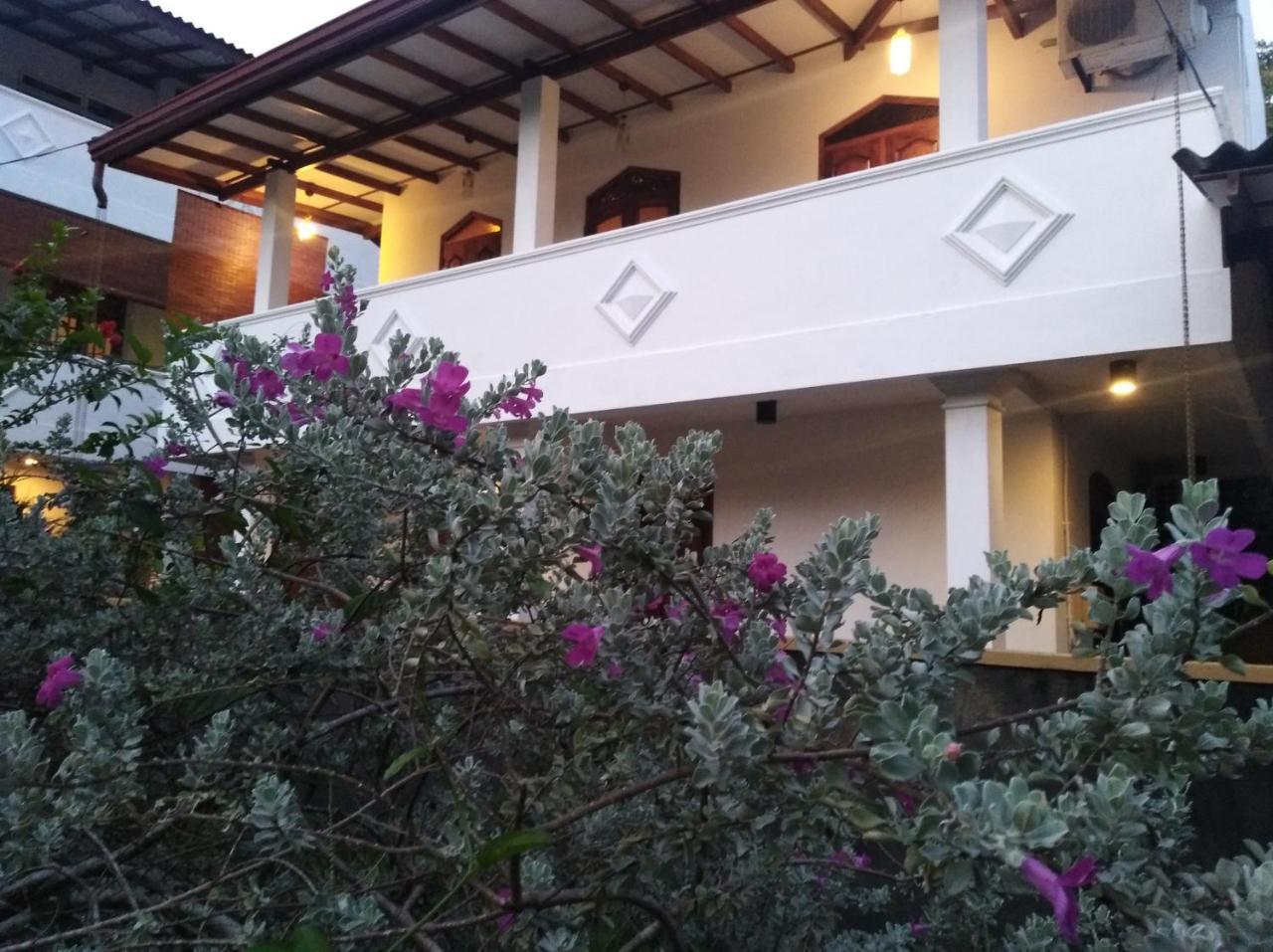 Villa Mihindi ฮิกคาดูวา ภายนอก รูปภาพ